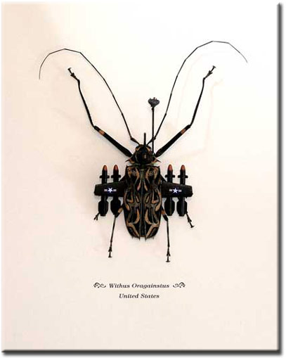 03a-ny_museum_of_natural_history.jpg