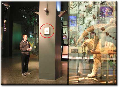 03b-ny_museum_of_natural_history.jpg