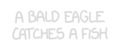 eagle frequency